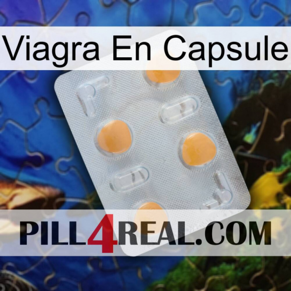 Viagra Capsule 24
